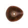 17" Free Form Hand Forged Old World Copper Vessel Sink