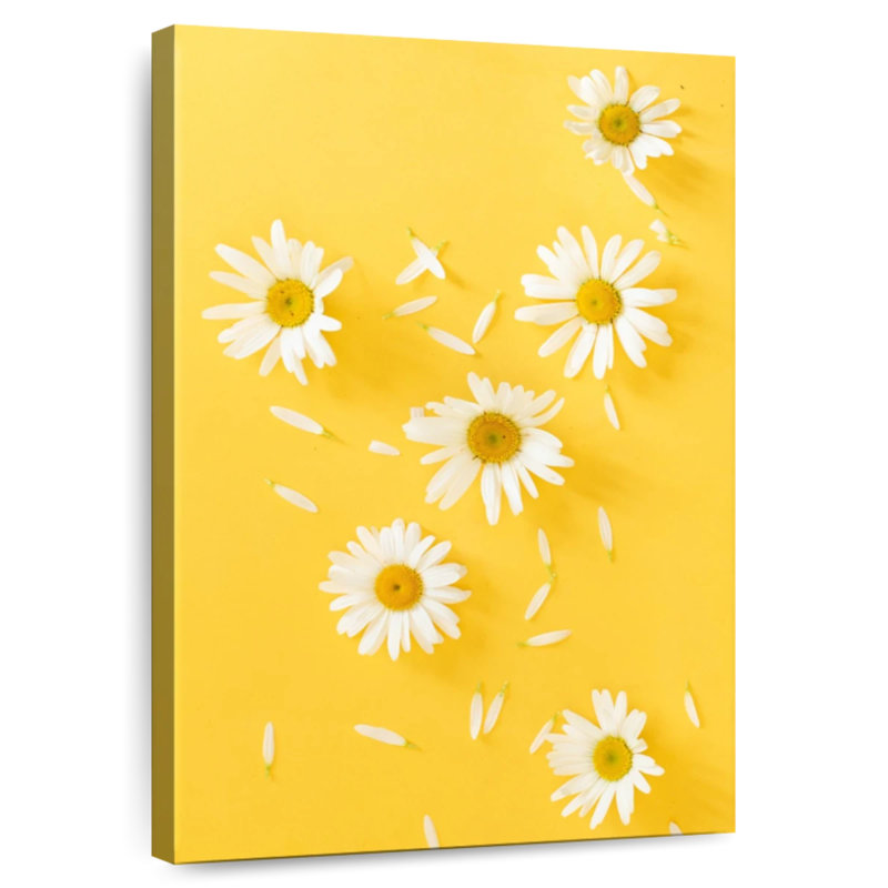 Harnek camomille sur jaune, H 39 po x l 26 po