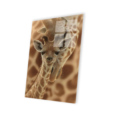 " Newborn Giraffe " by Collin Bogle