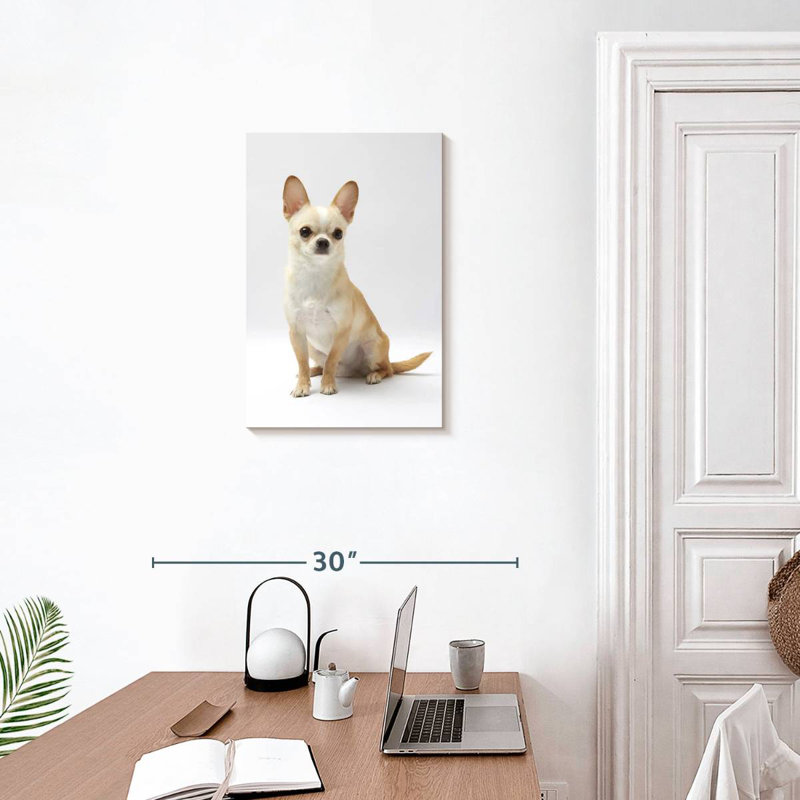 Chihuahua à Brampt assis, H 24 po x l 16 po
