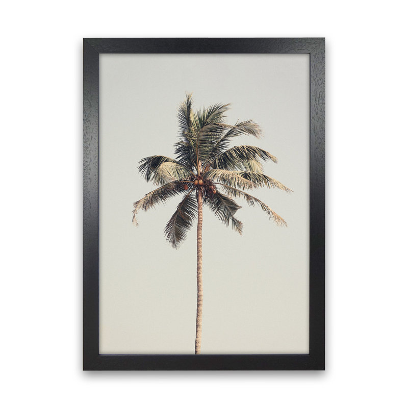 Palm Tree By The Beach by Victoria Frost - Print, Black Framed, 63cm H x 46cm W x 3cm D