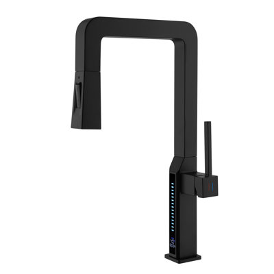 Single Handle Kitchen Faucet with Pull Out Sprayer and LED Temperature Display