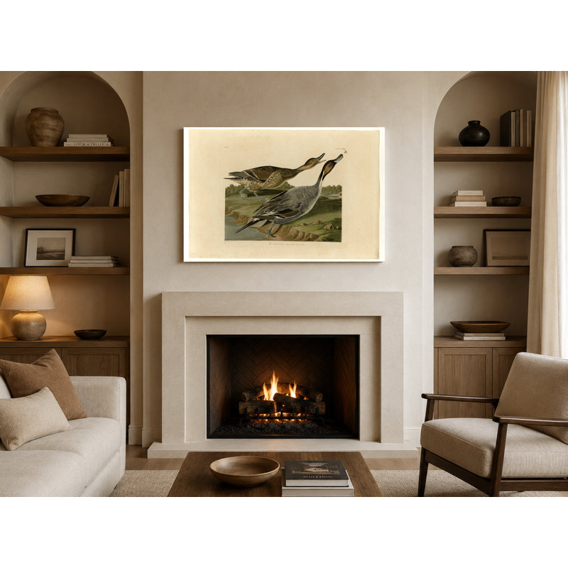 Canard à queue d'épingle (plaque CC-XXVII) - Paysage, art mural sur toile, 18" W x 12" H