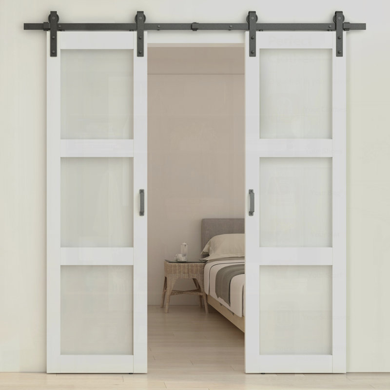 Porte de grange coulissante double en verre trempé givré 3-Lite avec trousse de quincaillerie et poignée pour l'intérieur moderne