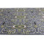 Tapis floral gris en laine noué à la main 9 pi x 12 pi Floral