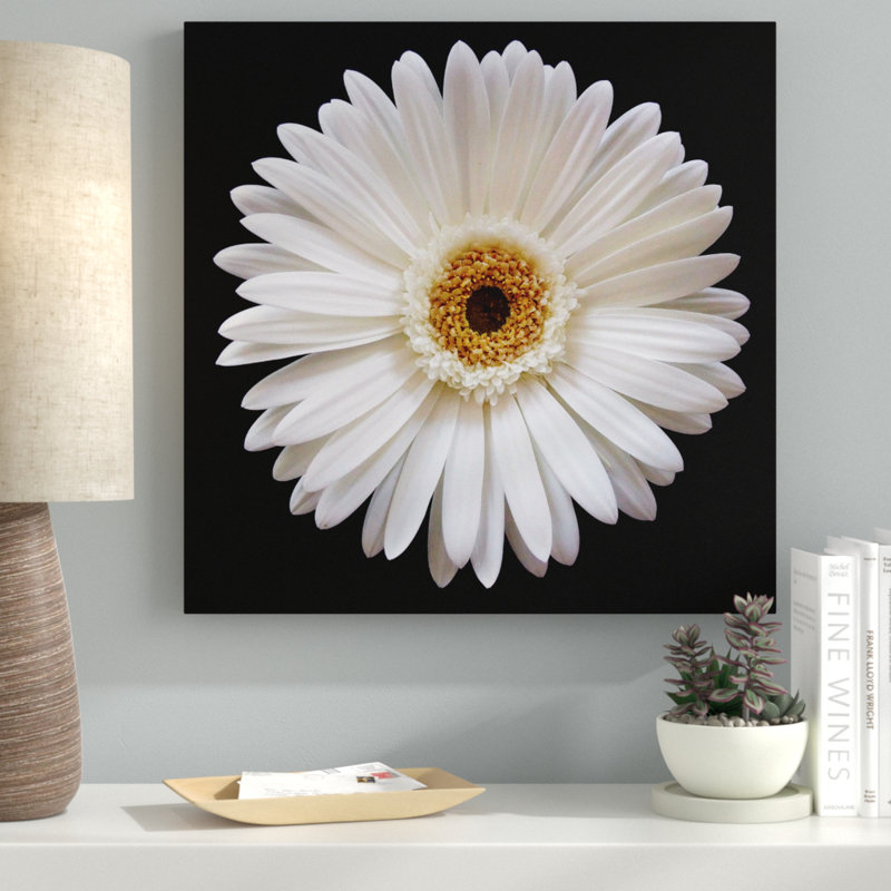 « white gerber marguerite », reproduction de photo sur toile tendue