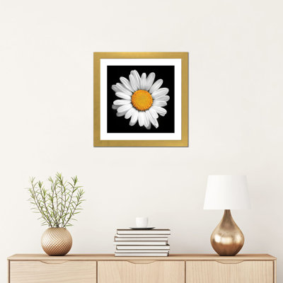 «There Is a Sun in Every Flower» par Ben Heine - impression d'art graphique