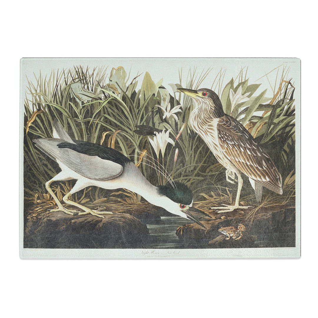 Tempered Glass Night Heron by John James Audubon Chopping Board