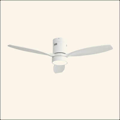 Ventilateur de plafond intérieur / extérieur 52 pouces