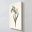 «Ink Flower II Cream» par Sara Zieve Miller, reproduction sur toile-391146191