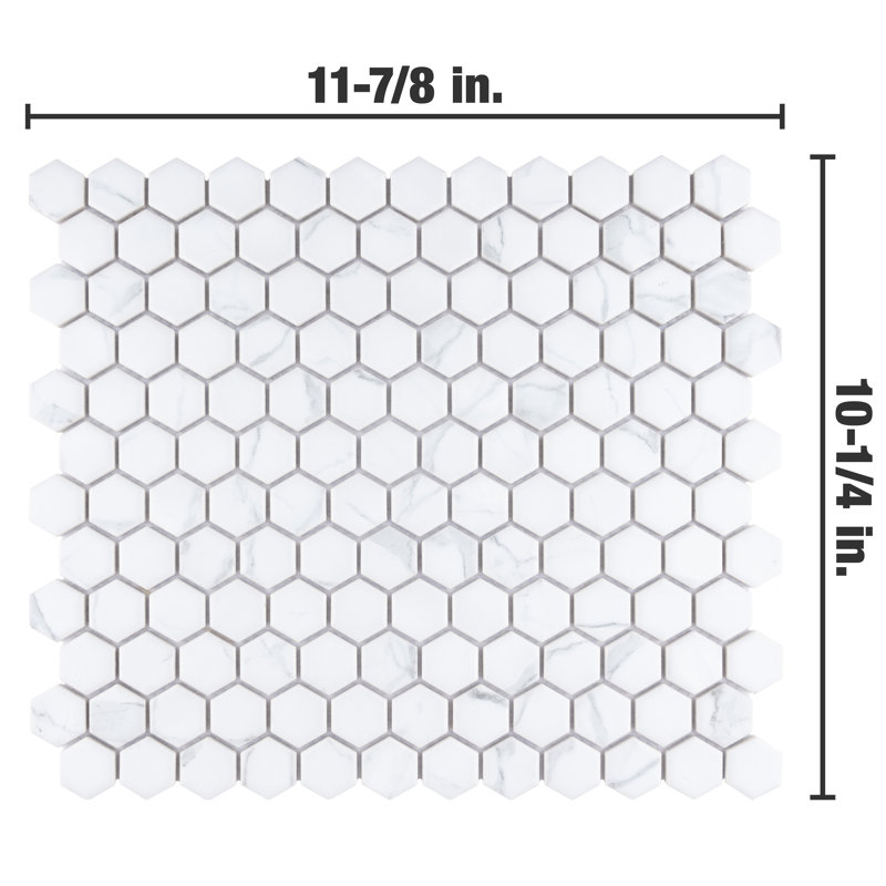 Carrione 1" Hex 10-1/4" x 11-7/8" Porcelain Mosaic Tile