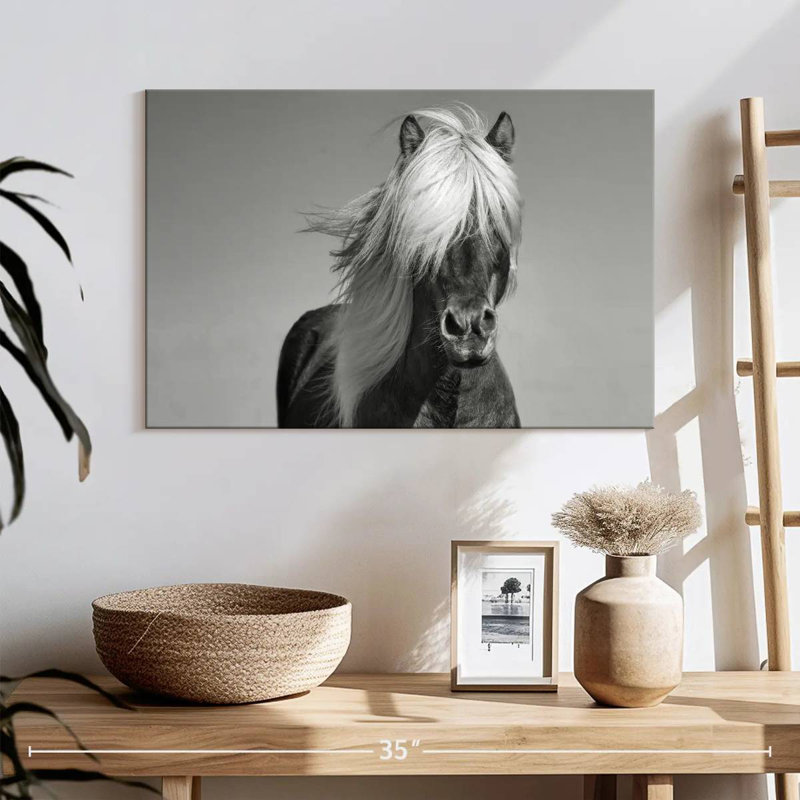 Brampt Pony, 16" H x 24" W