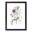 Purple Dahlia Flowers - Framed Print-55616694-55616697