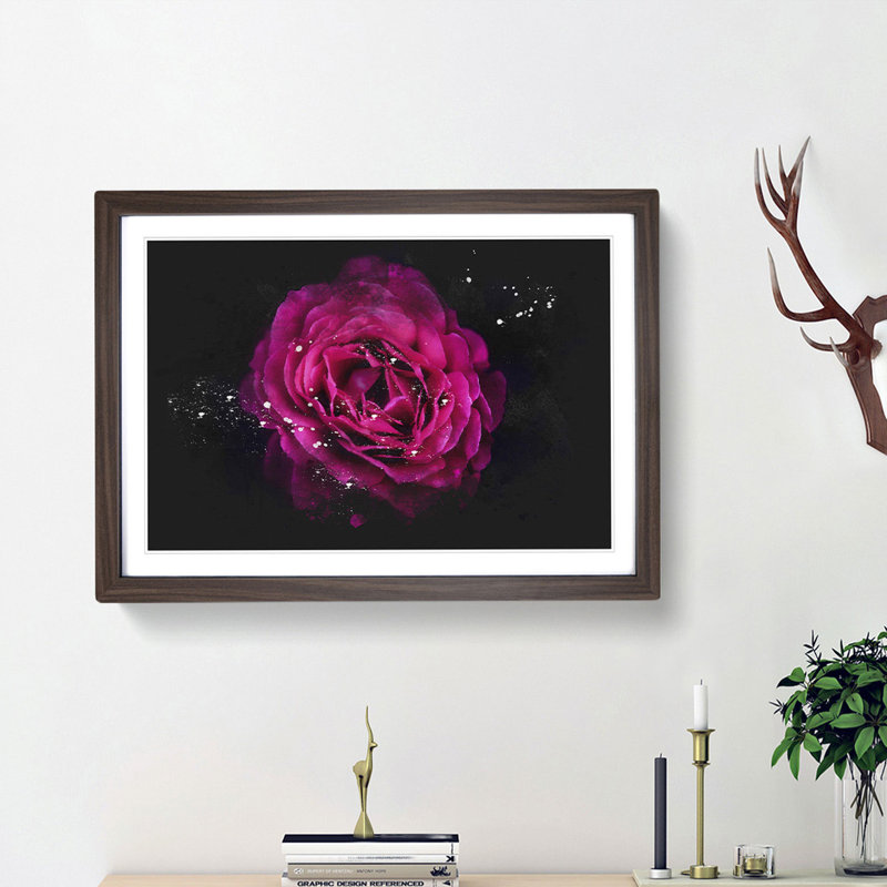 Fuscia Pink Carnation - Picture Frame Graphic Art Print, 24cm H x 33cm W x 2cm D, Walnut Framed
