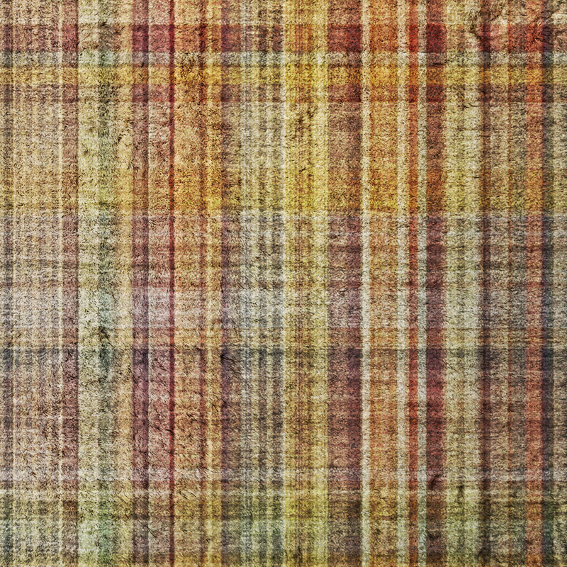 Tapis à carreaux de qualité supérieure lavable à la machine Dream Shag ADS541, Paprika, 3' x 5'