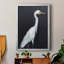 Calm Great Egret II - impression d'un seul cadre photo-1357522965-1357522960