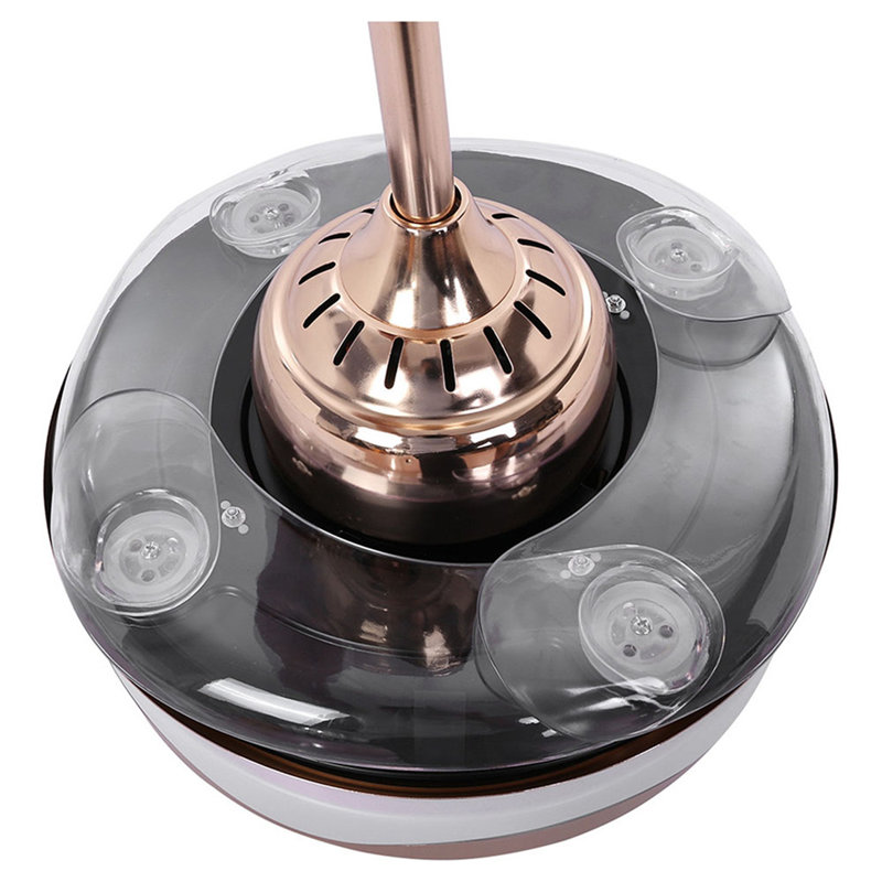 Anniah Ceiling Fan with LED Lights