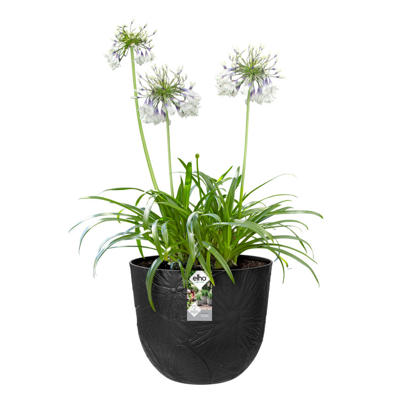 Plant Pot, 31.4 x 38 x 38, Onyx Black
