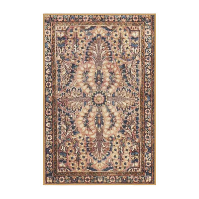 Oriental Indoor Rug
