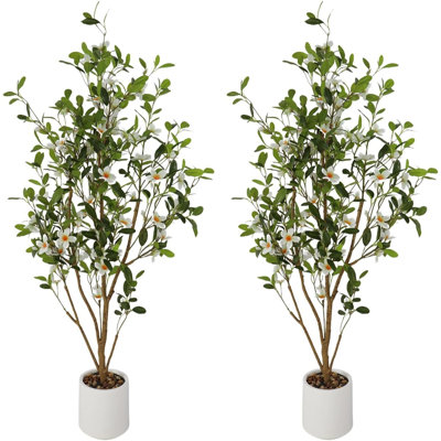 120cm Plant