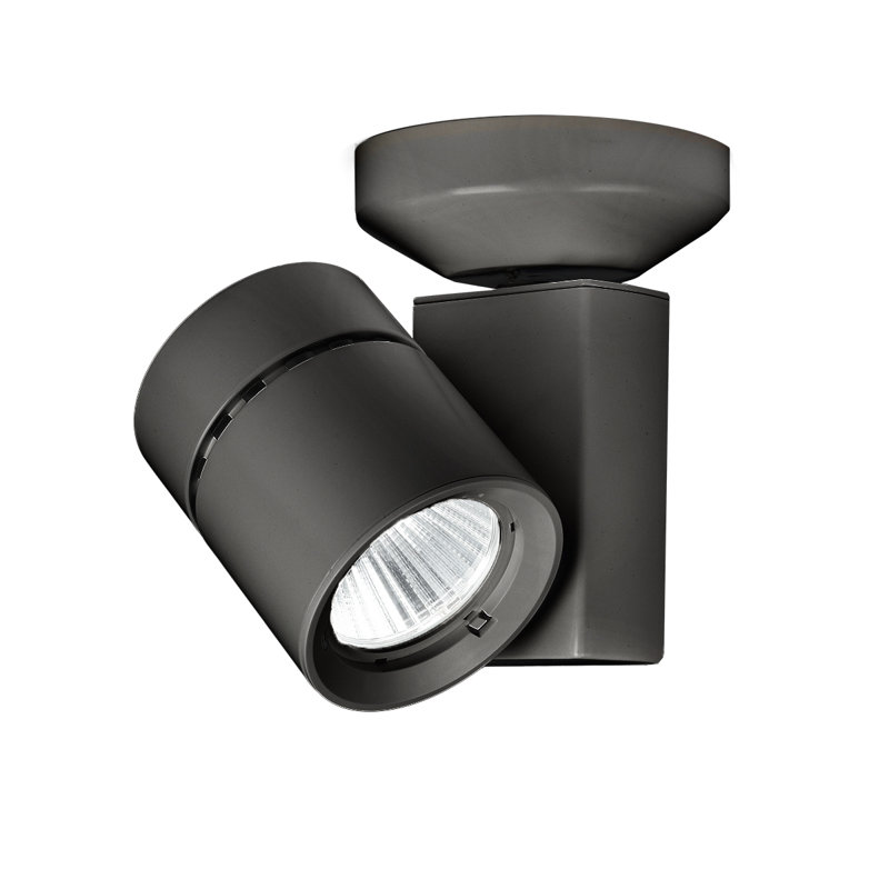 Exterminator II Track Head, 2700K/85, Black, Flood