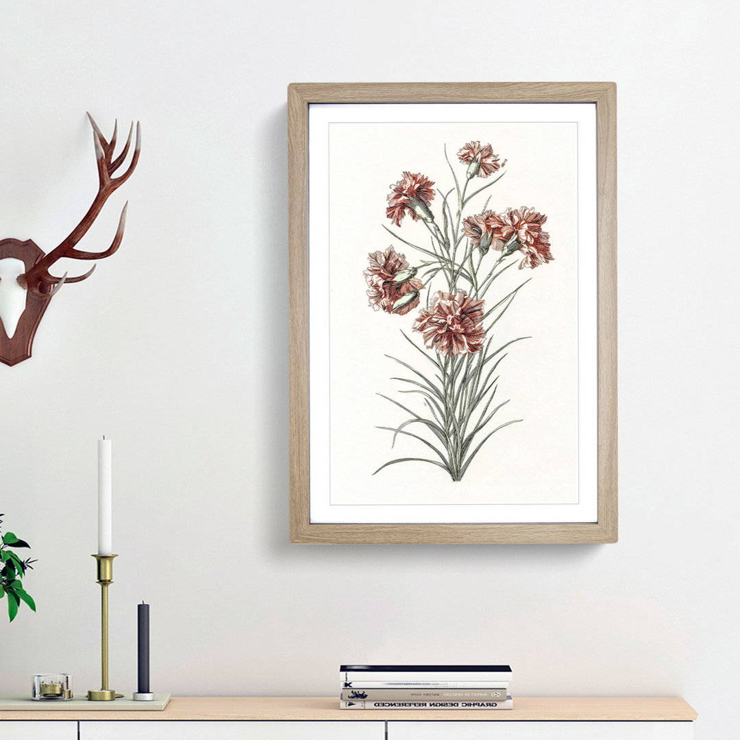 Six Carnations by Johan Teyler - Picture Frame Painting Print
