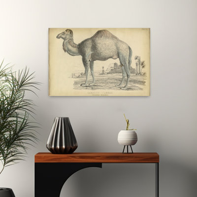 Camel Bactarnian - Print On Demand Vintage Abstract Landscape Nature Art