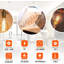 4 W 2700 K LED Smart Bulb