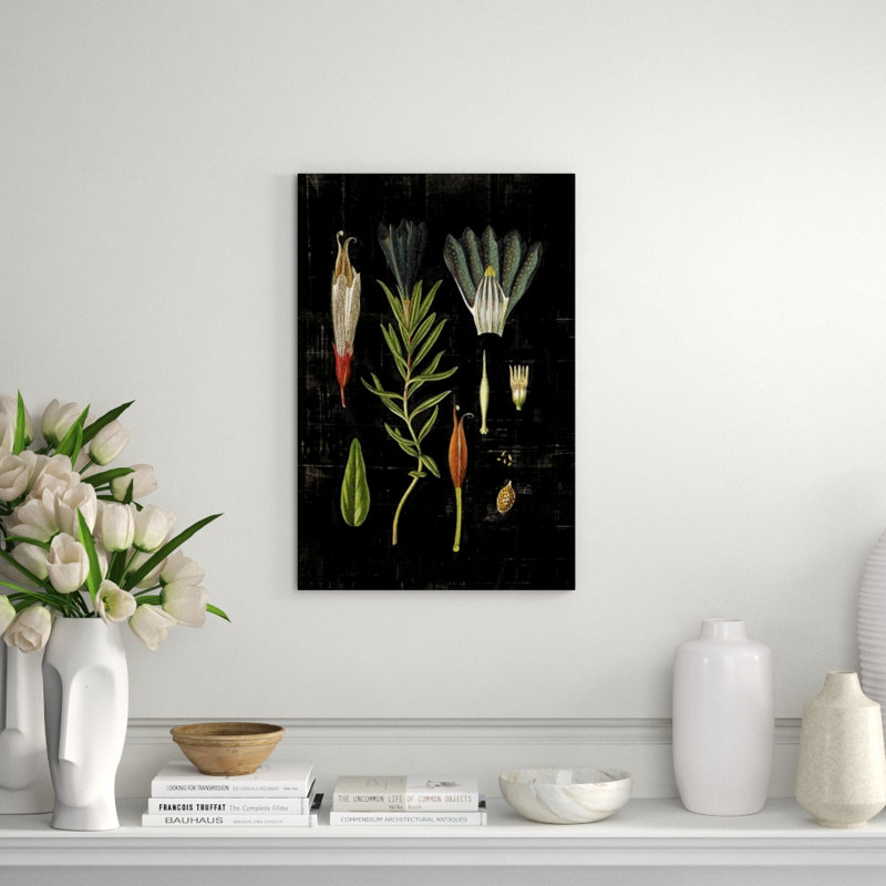 Botanical Study IV Print by Michelle Bennett, Outdoor, 30" H x 20" W