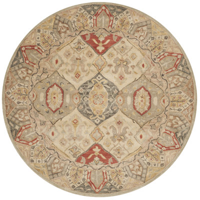 Antiquity Hand-Tufted Area Rug