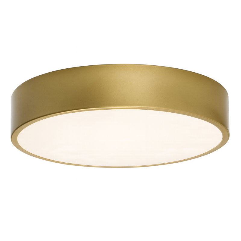 Bailey 12'' LED Flush Mount, Light Antique Brass, 2.5" H x 14" W x 14" D