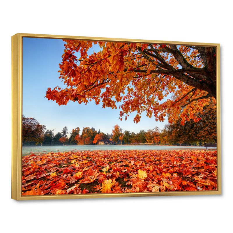 Mystic Autumn Forest - reproduction de cadre flottant sur toile, H 8 po x l 12 po x P 1 po, Cadre flottant doré