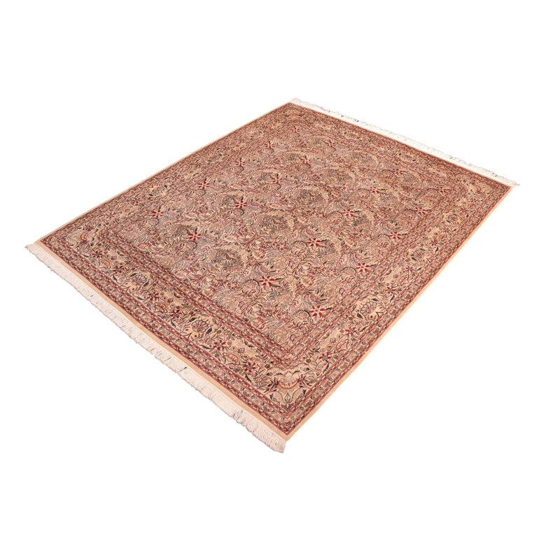 Ozra Oriental Hand-Knotted Rectangle 8'2" x 10'6" Wool Area Rug in Beige/Red