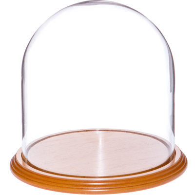 Jenett 8" x 8" Glass Display Dome Cloche