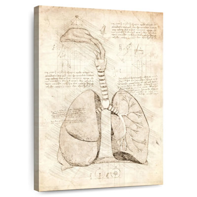 Système respiratoire Keiri