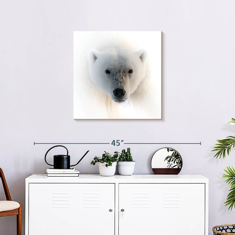 Portrait d'un ours polaire, H 24 po x l 24 po