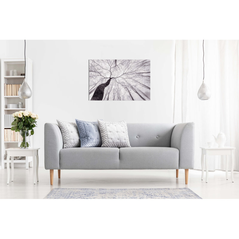 Monochrome Black And White Tree Trunksin A Foggy Forest - Wrapped Canvas Print, 51cm H x 76cm W