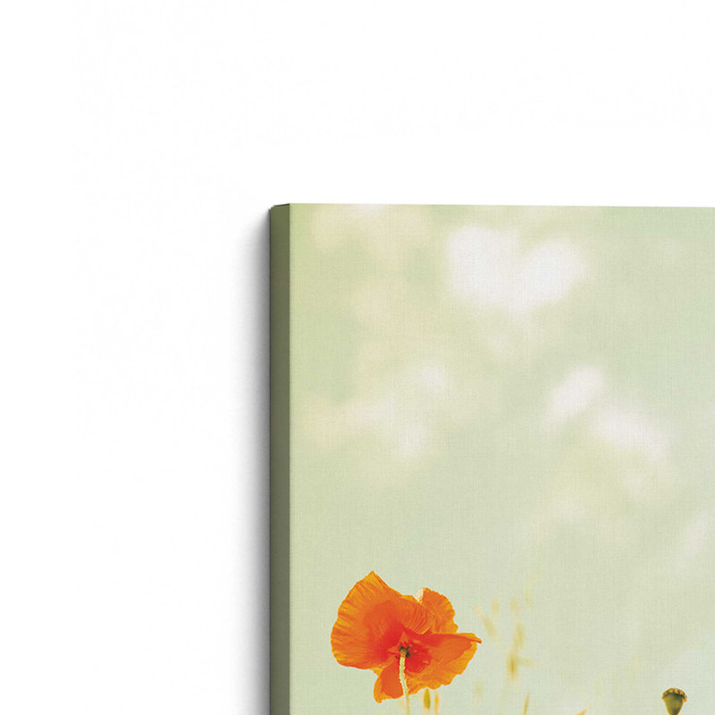 «Gentle Poppy Breeze», grande impression sur toile, H 40 po x l 60 po
