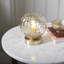Litchford Metal Globe Lamp