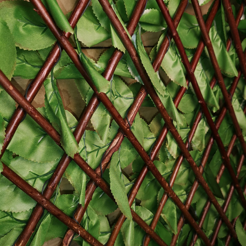 Anthoy 200cm H x 100cm W Plastic Trellis
