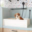 Linwald 36" Free Standing Single Basin Stone Composite Dog Washing Station-988465206