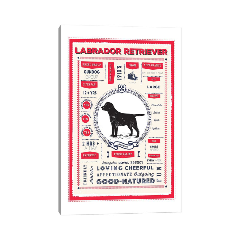 «Labrador Retriever Infographie Red» par papier, peinture, impression sur toile tendue, H 12 po x l 8 po x P 0,75 po