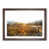 Walnut Framed