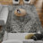 Raghdah Oriental Indoor Rug-954494987