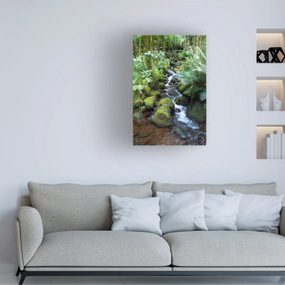 "Robert Forest", "Forêt tropicale", art sur toile