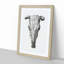 The Skull of a Cow by Jean Bernard - Picture Frame Drawing Print-55639940-55639941