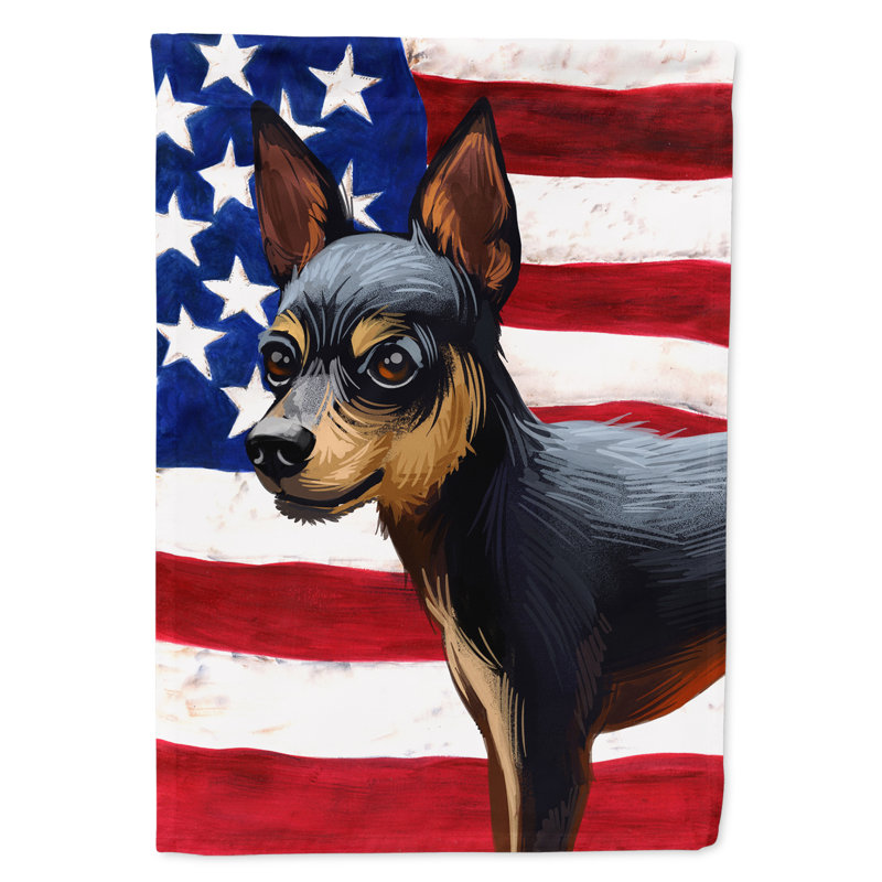 Polyester à 2 côtés 28 x 40 po drapeau maison, Ratier de Prague