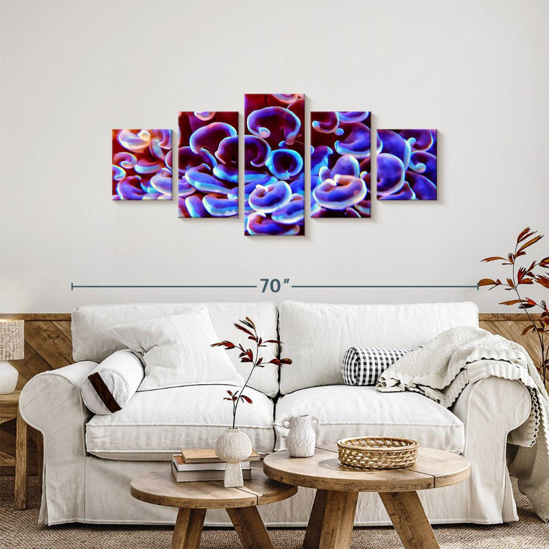 Multicoloured Coral, 24" H x 55" W