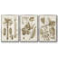Indigo Coral IV, ensemble de 3 toiles encadrées sur toile-97792661-97792664