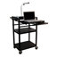 AV Carts & Computer Storage Carts